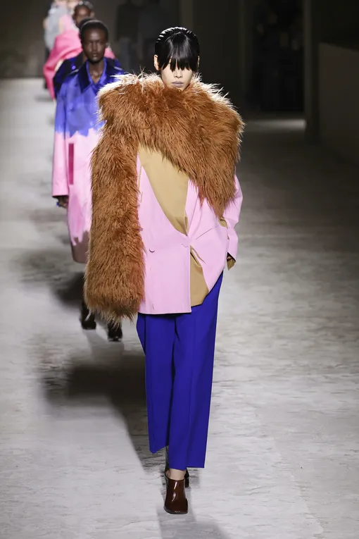 Dries Van Noten осень-зима 2024/2025